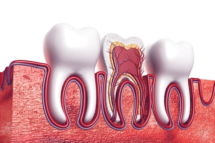 Quy trình điều trị tủy răng