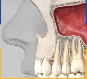 NHẬN BIẾT VỊ TRÍ CÁC RĂNG TRÊN CUNG HÀM